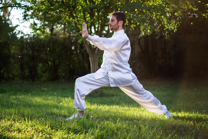 Tai Chi Silhouette